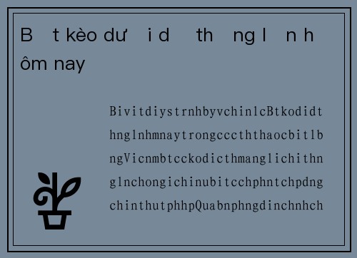 Bắt kèo dưới dễ thắng lớn hôm nay